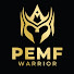 zL2LJPYiJJc-channel-avatar-PEMF Warrior