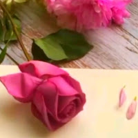 shammi profile image