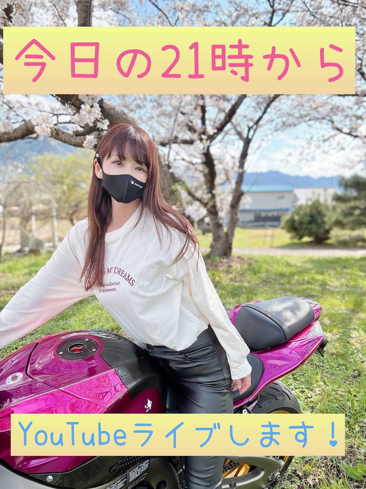 弱小YouTuber⭐︎Sちゃん【猫Photo Rider】 - YouTube