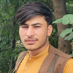 sayed1