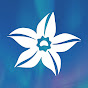 Vanilla Mode Avatar