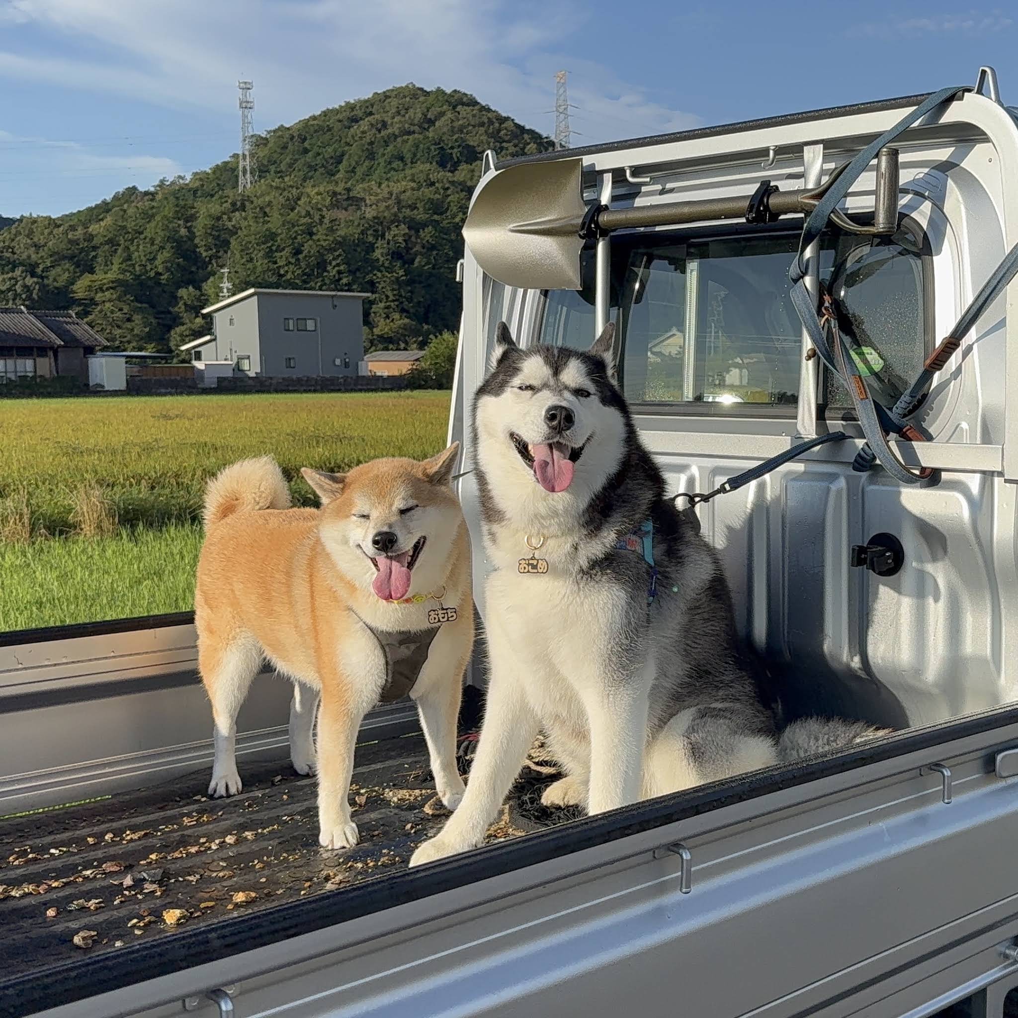 Post from もちごめ兄弟ちゃんねる