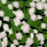 FCdjrszxcBQ-channel-avatar-CrushedClover