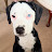 @butler2026 Avatar