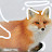 @The_3rd-fox