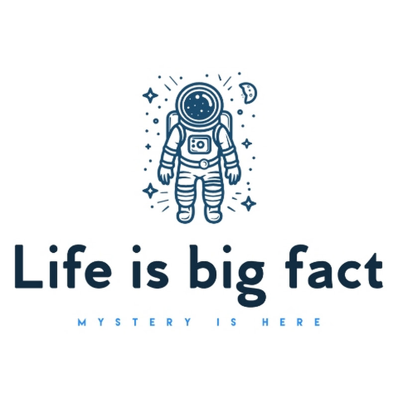 life is big fact