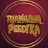 l9dHWHBTnrc-channel-avatar-Thamashapeedika