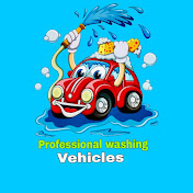 Professional car wash