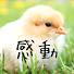 cSrhtgc2rS8-channel-avatar-感動ぴよこ