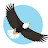 @justchil5904