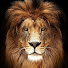 QHWBELxc7F4-channel-avatar-GMS BIRMINGHAM SHORTS