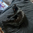 tHiqViq-BYo-channel-avatar-TGirlGockey