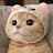 @사자-l6w