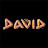 The David Movie