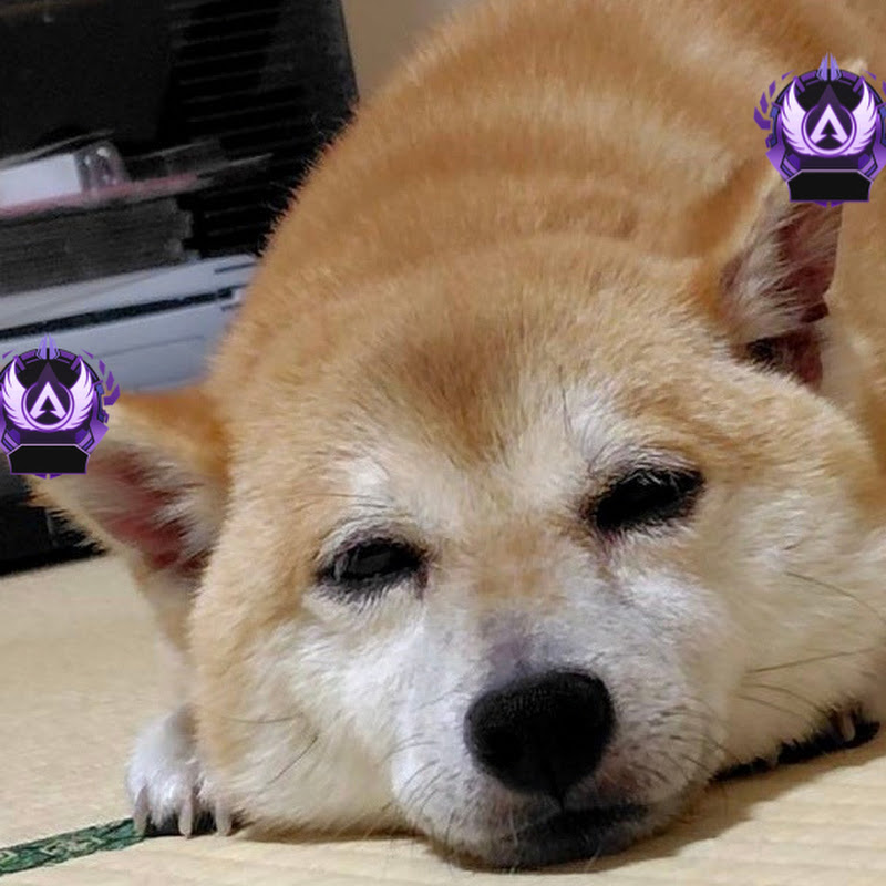 ラティア(rathia APEX)