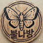 불나방