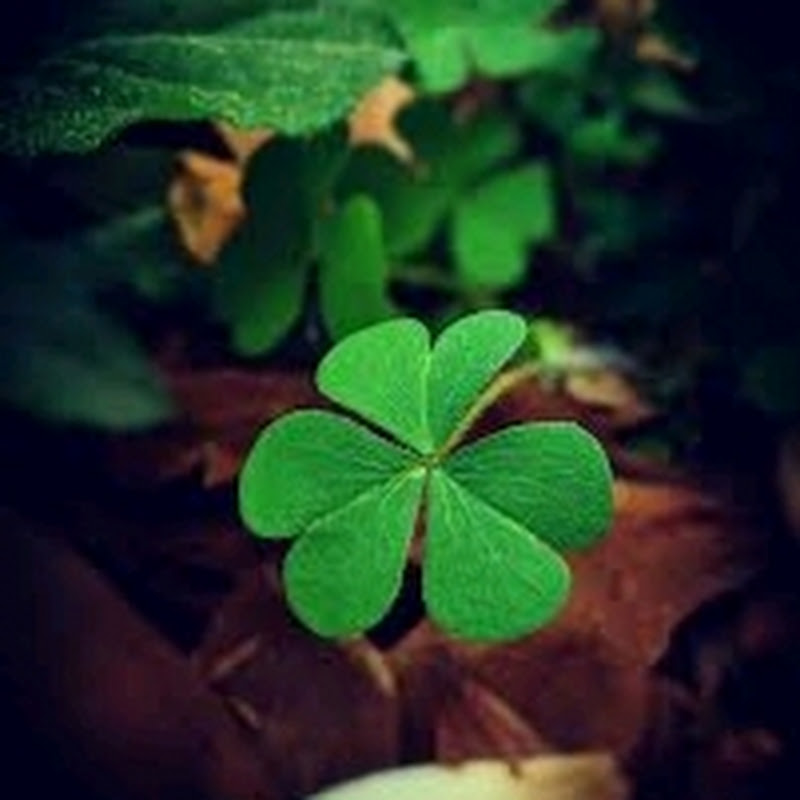 Lyricsone_Rahul