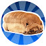 p1psZmxt-sA-channel-avatar-Loafy Pug
