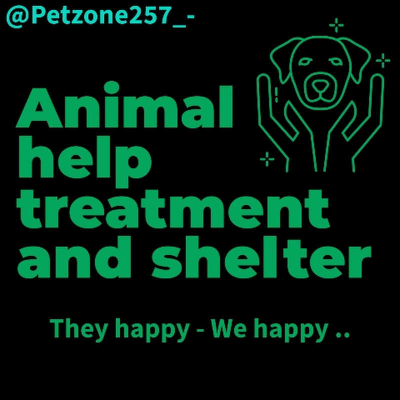 Hire PETZONE 257_- — Veterinary Health Advice YouTube creator for sponsorships