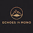 zRwKNY5tVXc-channel-avatar-Echoes in Mono