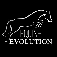 Hannah At Equine Evolution