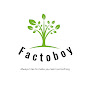 Factoboy logo