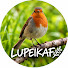 id1wZTaw4eM-channel-avatar-Lupeikaf