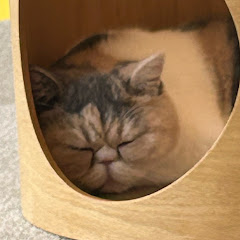 ぽんきち