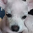 @지성도장.방수