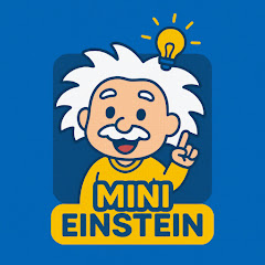 Mini Einstein