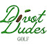 l_znmTWW4wY-channel-avatar-Divot Dudes and Madison Pool