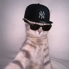 catzhubbbi
