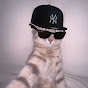 catzhubbbi