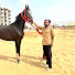 h4-DgdRzkFM-channel-avatar-Aaju horse lovers