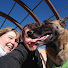 5BAebbfaStc-channel-avatar-3 Lost Dogs