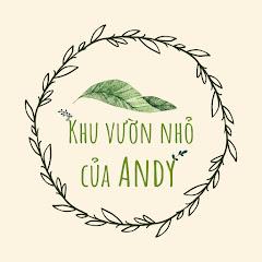 Khu vườn nhỏ của Andy