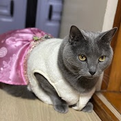 馬場です
