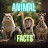 Animal Facts