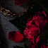 QAGwmoTnhD0-channel-avatar-Romantasy Vault