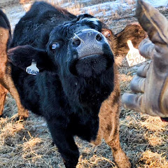 Farming NoDak