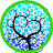 Irène Rust Tarot - Horoscope