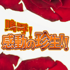 嗚呼!感動の珍生‼︎