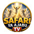 -NCDMMawkN4-channel-avatar-SAFARI YA AJABU TV