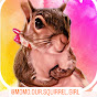 MoMo Our Squirrel Girl logo