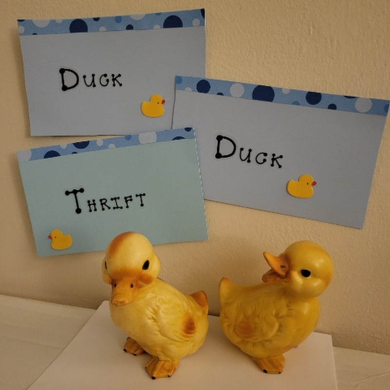 Duck Duck Thrift
