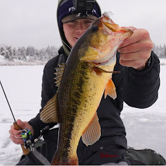 Trev Fishes