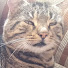 N7thraD_7EY-channel-avatar-X Nature