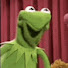 fWsxOUMTr_M-channel-avatar-meddling frog