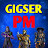 GIGSER PM