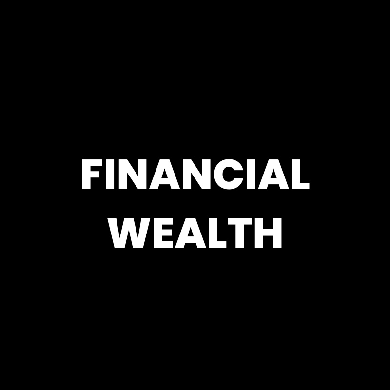 Financial Wealth